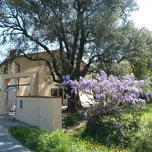 Casa di campagna Al Vecchio Leccio Pistoia